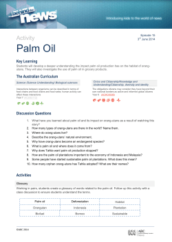 Palm Oil