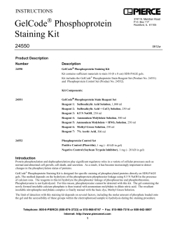 GelCode Phosphoprotein Staining Kit