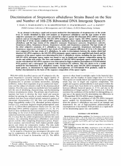 and Number of 16s-23s Ribosomal DNA Intergenic Spacers