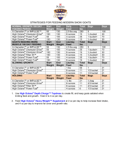 strategies for feeding modern show goats