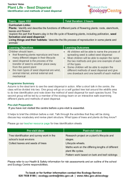 Plant Life Seed Dispersal