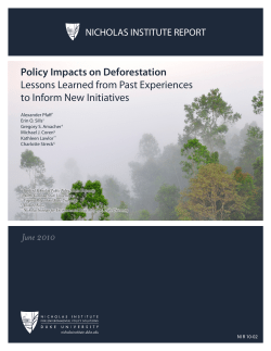 Policy Impacts on Deforestation Lessons Learned
