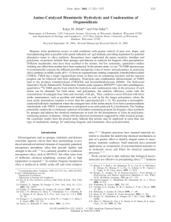 Amine-Catalyzed Biomimetic Hydrolysis and Condensation of