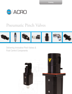 Pneumatic Pinch Valves