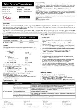 Tetro Reverse Transcriptase