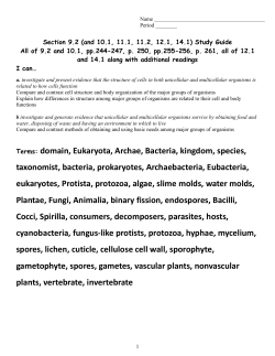 Terms: domain, Eukaryota, Archae, Bacteria, kingdom, species