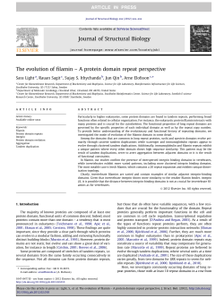 The evolution of filamin &acirc;&euro;&ldquo; A protein domain repeat