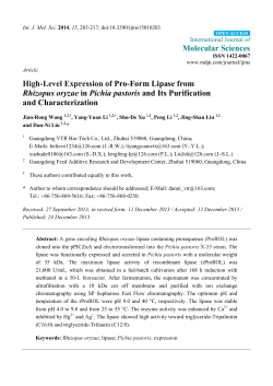 High-Level Expression of Pro-Form Lipase from Rhizopus oryzae in