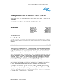 Inflating bacterial cells by increased protein synthesis