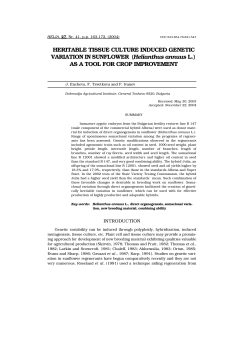 HERITABLE TISSUE CULTURE INDUCED GENETIC VARIATION IN
