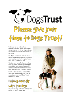 Dogs Trust Volunteering Pack