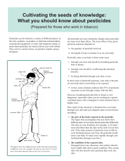 Cultivating the seeds of knowledge: What you should know about