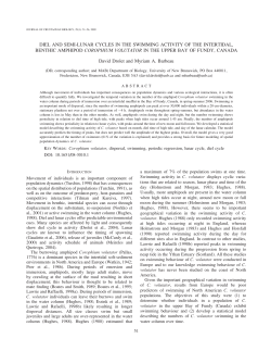 diel and semi-lunar cycles in the swimming activity of the intertidal