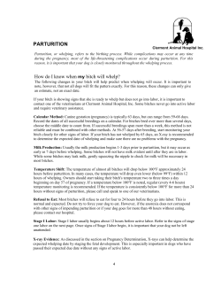 How do I know when my bitch will whelp?