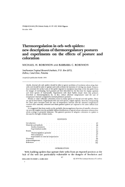Thermoregulation in orbweb spiders: new descriptions of