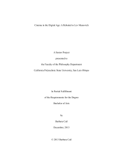 Cinema in the Digital Age: A Rebuttal to Lev Manovich
