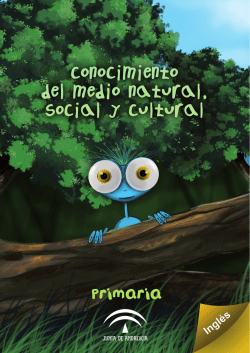 Our senses (solucionario)
