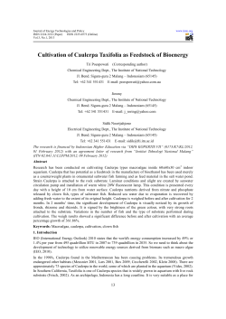 Cultivation of Caulerpa Taxifolia as Feedstock of Bioenergy