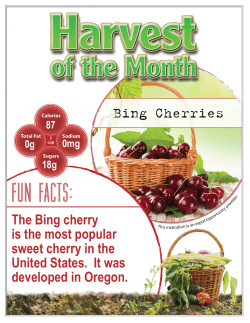 The Bing cherry is the most popular sweet cherry in the United