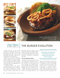 the burger evolution