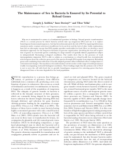 The Maintenance of Sex in Bacteria Is Ensured by Its