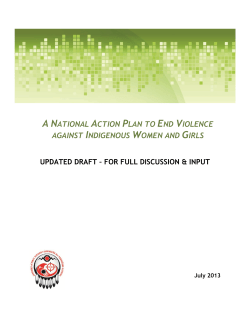 A National Action Plan to End Violence Against Indigenous Women