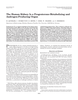 The Human Kidney Is a Progesterone