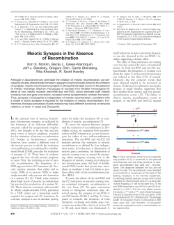 Meiotic Synapsis in the Absence of Recombination