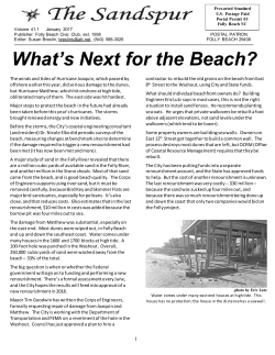 Sandspur - City of Folly Beach