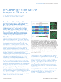 siRNA screening of the cell cycle with two dynamic GFP sensors