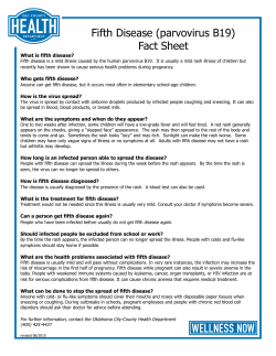 Fifth Disease (parvovirus B19) Fact Sheet