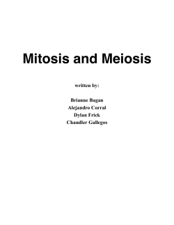Mitosis and Meiosis