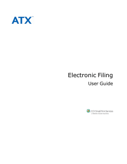1 Electronic Filing Overview - MyATX
