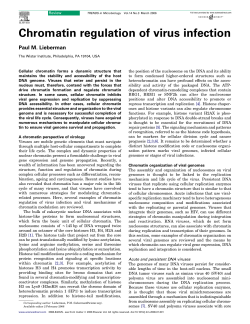 Chromatin regulation of virus infection