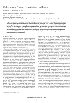 Understanding Problem Fermentations &ndash; A Review