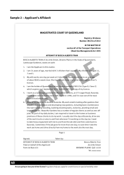 Sample 2 – Applicant`s Affidavit