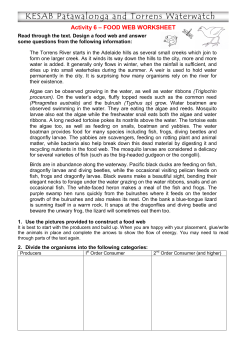 Activity 6 – FOOD WEB WORKSHEET
