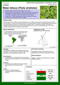 Pistia stratiotes - GB non-native species secretariat