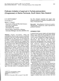 Pollinator limitation of seed set in Fuchsia perscandens