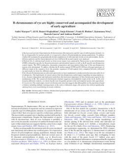 B chromosomes of rye are highly conserved and