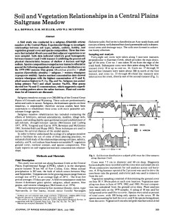Soil and Vegetation Relationships in a Central Plains Saltgrass