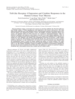 Toll-Like Receptor 4 Expression and Cytokine Responses in the