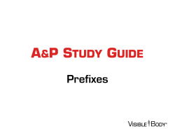 prefix