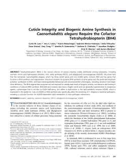 Cuticle Integrity and Biogenic Amine Synthesis in Caenorhabditis