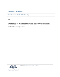 Evidence of plasmotomy in Blastocystis hominis