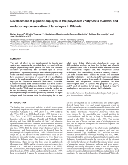 Eye development and evolution