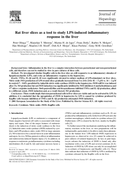 Rat liver slices as a tool to study LPS-induced inflammatory