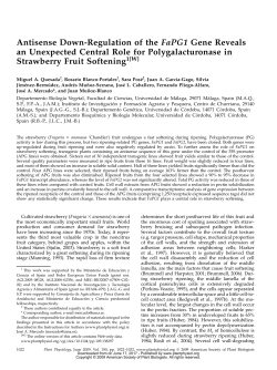 Antisense Down-Regulation of the FaPG1 Gene