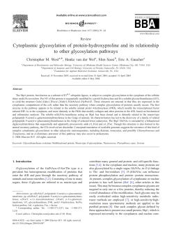 Cytoplasmic glycosylation of protein