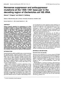 Nonsense suppressor and antisuppressor mutations at the 1409